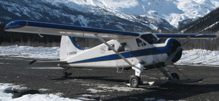 Picture-of-DHC-2 MKI Beaver-Aircraft gallery